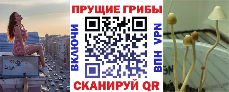Купить  Карачаевск  Галлюциногенные грибы мухоморы 
