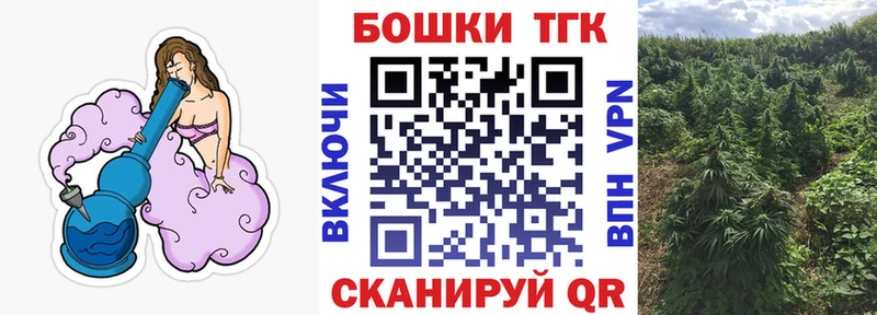 Купить закладки  Карачаевск  Марихуана индика 